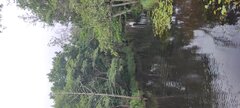IMG_20250728_070049.jpg