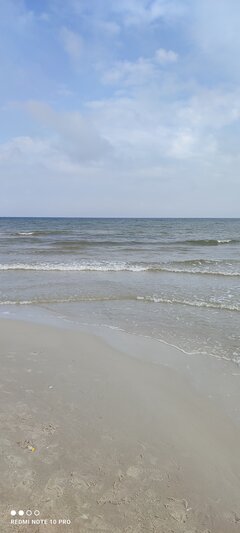 IMG_20250726_091338.jpg
