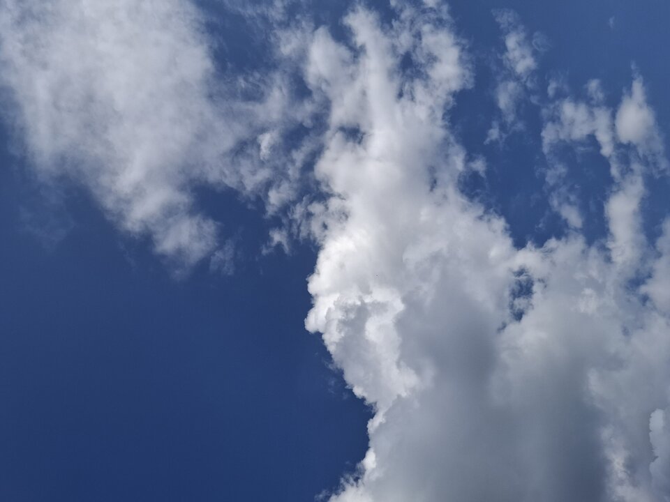 1000018408.jpg - Mili0077