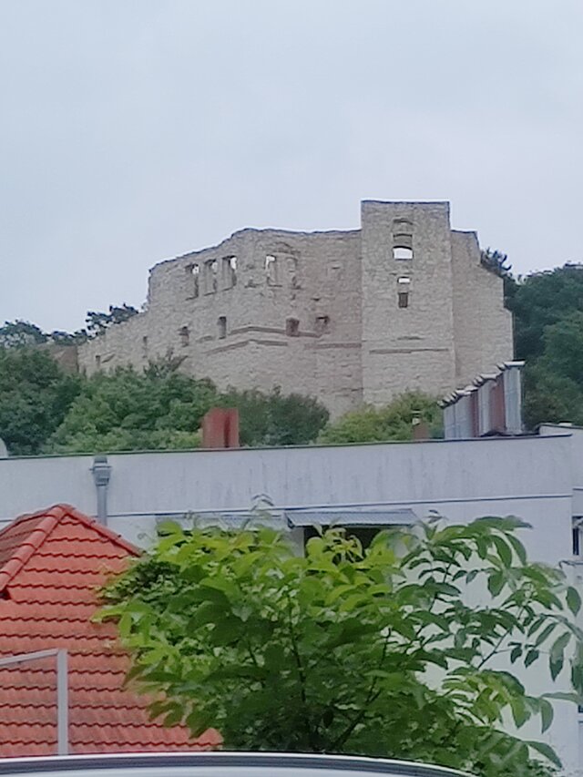 gryft