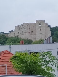 IMG_20250727_120609743.jpg