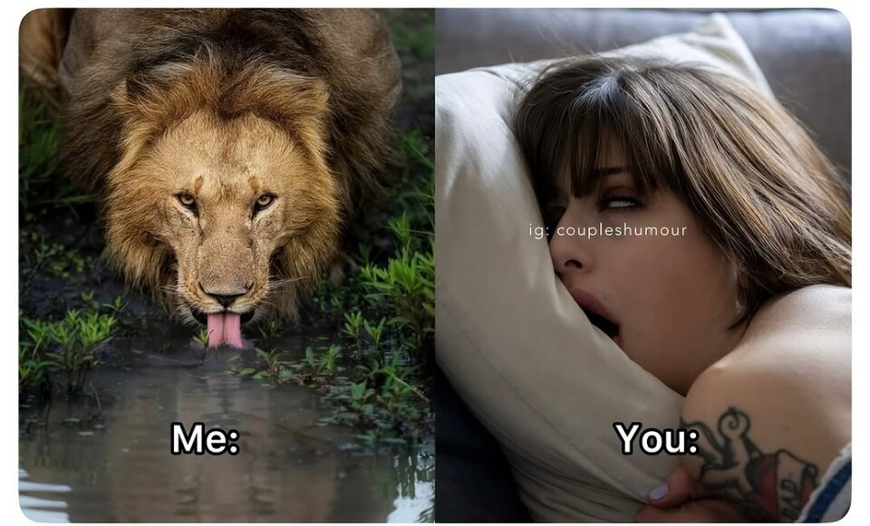 me you.jpg - p99