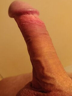 IMG_20250728_183112.jpg