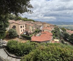 IMG_7035.jpeg