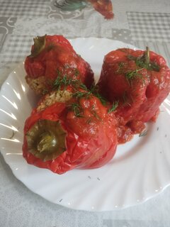 IMG_20250729_170055.jpg