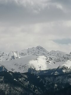 IMG_20210424_130716.jpg