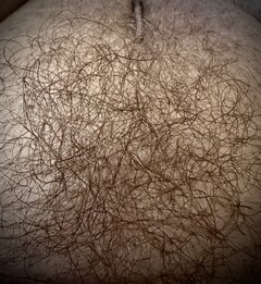 Hair.jpeg
