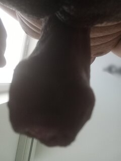 IMG_20250730_095105.jpg