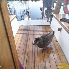 IMG_20230811_165020.jpg