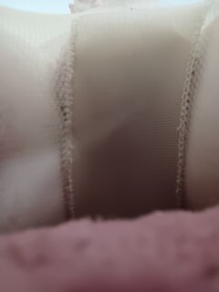 IMG_20250801_100331.jpg