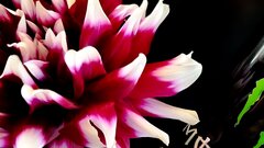IMG_20250801_192624.jpg