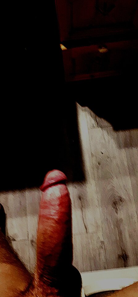 USER_SCOPED_TEMP_DATA_MSGR_PHOTO_FOR_UPLOAD_1644624680710_689805 - Penetrus88