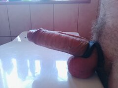 1000002404.jpg