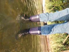 20250803_062151.jpg