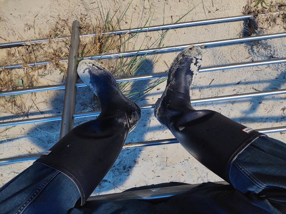 20250803_044918.jpg - Rubber_gloves