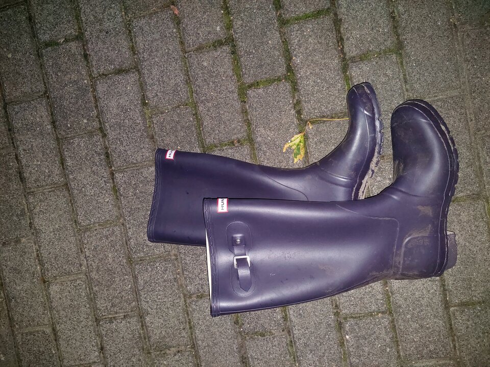 20250803_040511.jpg - Rubber_gloves