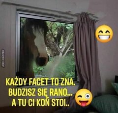 FB_IMG_1753991558431.jpg