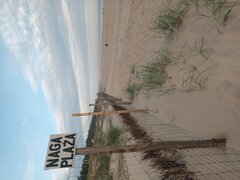 20250803_061956.jpg
