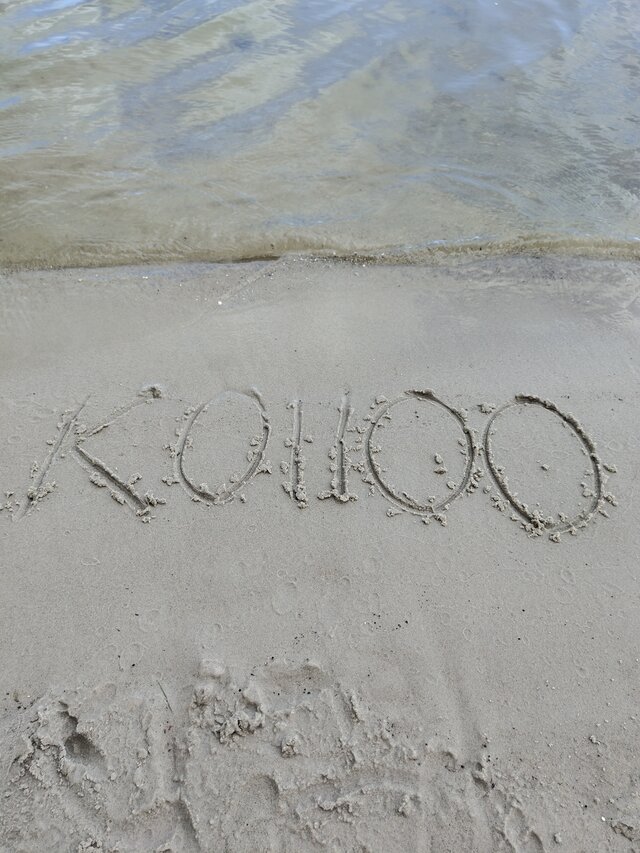 Koiioo
