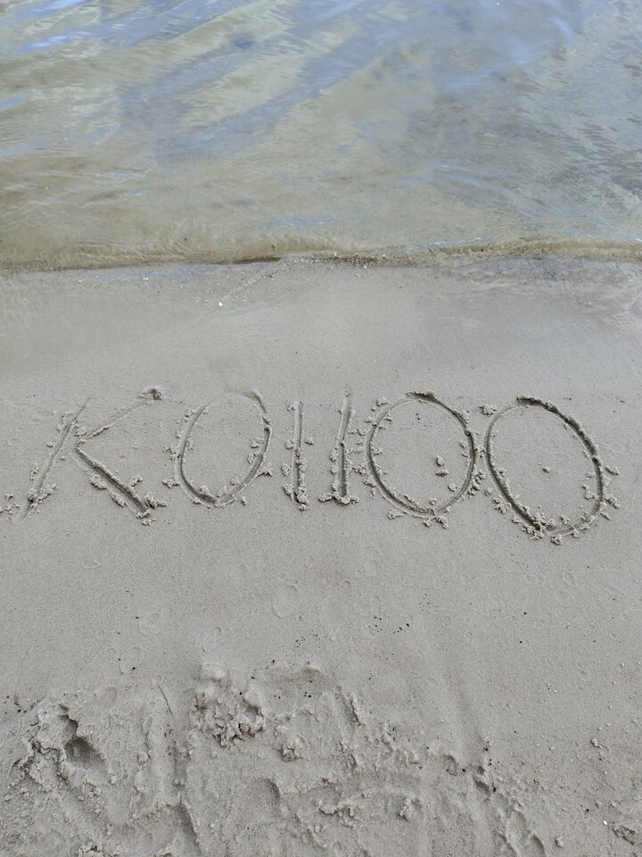 1000016464.jpg - Koiioo