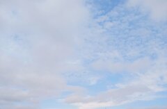 IMG_20250804_172532.jpg
