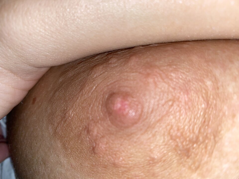 IMG_2565.jpeg - paramg77