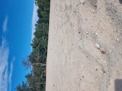 20250805_095122.jpg