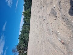 20250805_095118.jpg