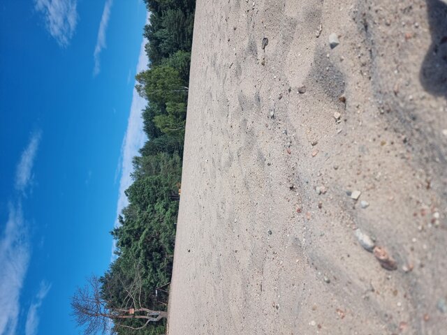 Tomekdlapan