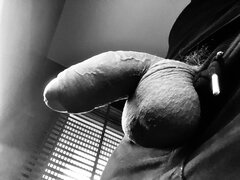 IMG_8280.jpeg