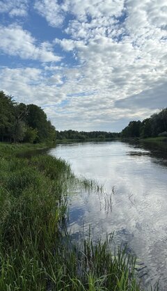 IMG_20250805_134448.jpg