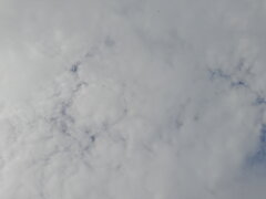 20250805_160309.jpg