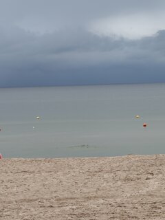 1000016476.jpg
