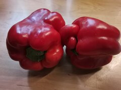 IMG_20250802_172711.jpg