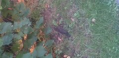 20250805_082949.jpg