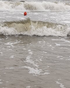 20250728_172617.jpg