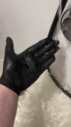 IMG_7742.jpeg