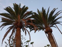 IMG_20250806_073933.jpg
