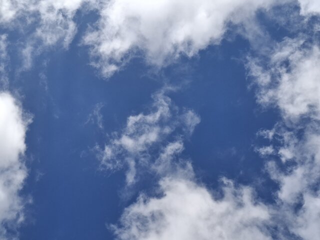 WysokaKobieta