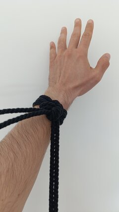 Shibari.jpg