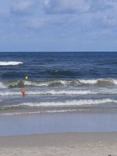 IMG_20250806_111038.jpg