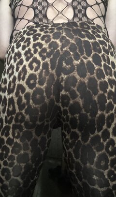 IMG_4994.jpeg