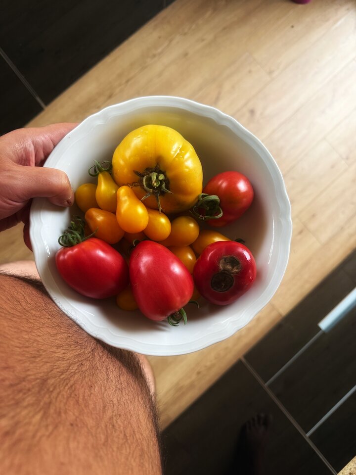 🍅🧙😍 - serialowapara19782