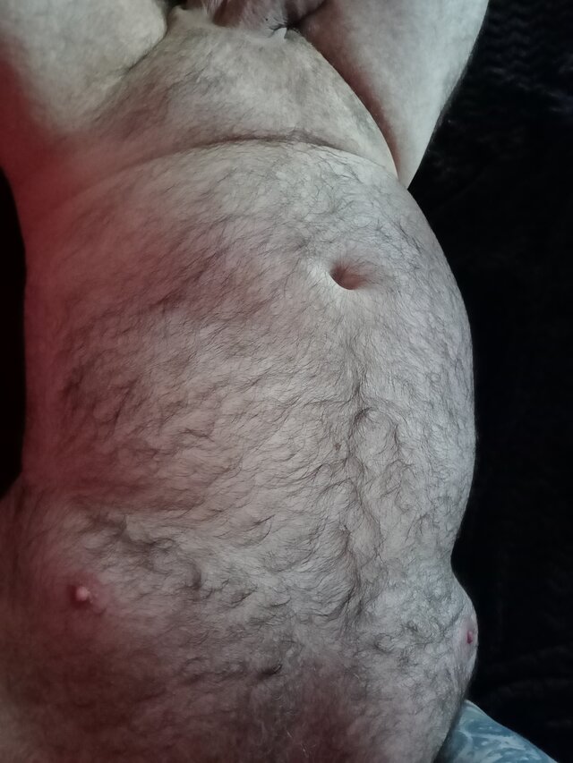 bear26