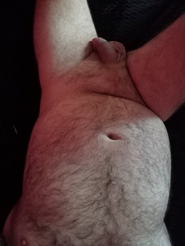 bear26