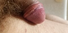 20250809_045945.jpg