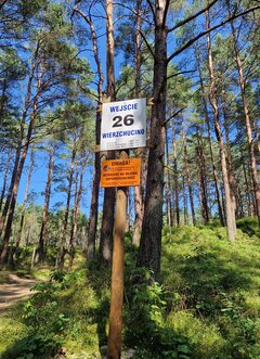 Dębki 2025 -1.jpg