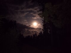 IMG_20250810_001746.jpg