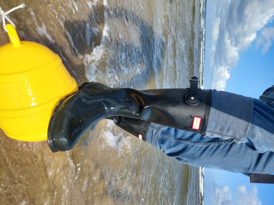 20250810_093955.jpg - Rubber_gloves