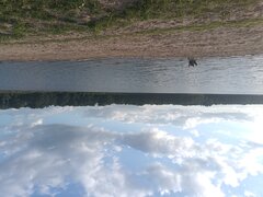 IMG_20250810_185529180.jpg